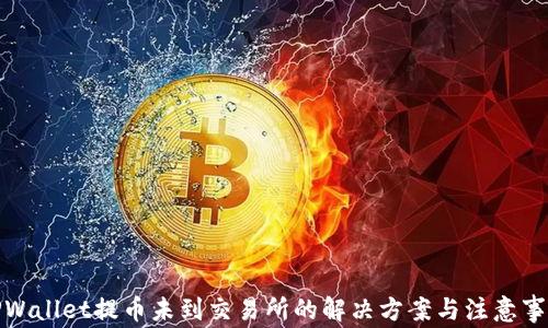 
TPWallet提币未到交易所的解决方案与注意事项