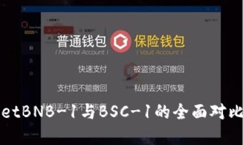 TPWalletBNB-1与BSC-1的全面对比与理解