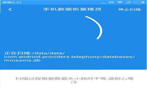 如何使用TPWallet查看币的转移记录