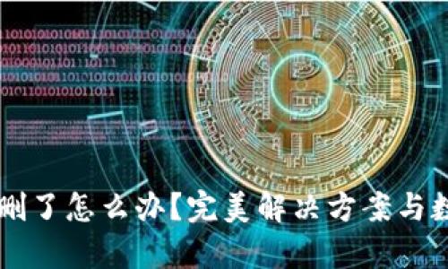 TPWallet被删了怎么办？完美解决方案与数据恢复指南