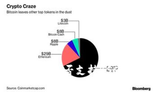 电脑版TPWallet是否支持BSC链的全面解析