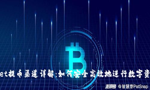 tpwallet提币渠道详解：如何安全高效地进行数字资产提取
