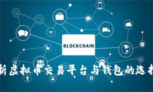 全面解析虚拟币交易平台与钱包的选择与使用