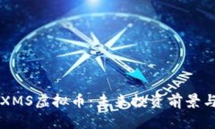 深入解析XMS虚拟币：未来投资前景与市场潜力