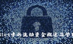 TPWallet中的流动资金概述及管理方法