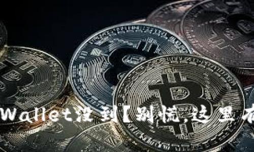 提币到TP Wallet没到？别慌，这里有解决办法！